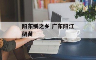 阳东鹅之乡 广东阳江鹅苗