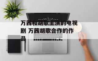 万茜和胡歌主演的电视剧 万茜胡歌合作的作品