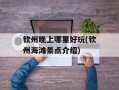 钦州晚上哪里好玩(钦州海滩景点介绍)
