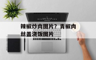 辣椒炒肉图片？青椒肉丝盖浇饭图片