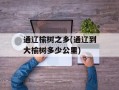 通辽榆树之乡(通辽到大榆树多少公里)