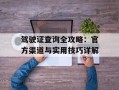 驾驶证查询全攻略：官方渠道与实用技巧详解
