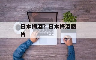 日本梅酒？日本梅酒图片