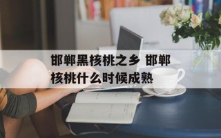 邯郸黑核桃之乡 邯郸核桃什么时候成熟