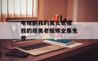 电视剧我的美女老板 我的绝美老板娘全集免费