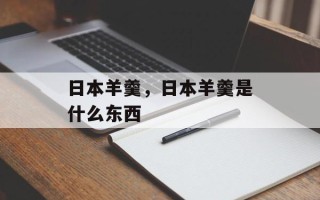 日本羊羹，日本羊羹是什么东西