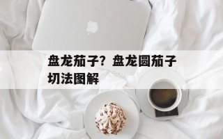 盘龙茄子？盘龙圆茄子切法图解