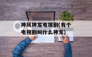 神风神龙电视剧(有个电视剧叫什么神龙)