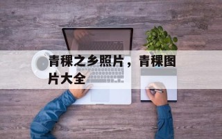 青稞之乡照片，青稞图片大全