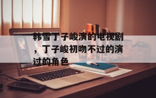 韩雪丁子峻演的电视剧，丁子峻初吻不过的演过的角色