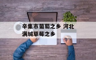 辛集市葡萄之乡 河北满城草莓之乡