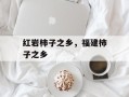 红岩柿子之乡，福建柿子之乡