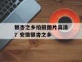 银杏之乡拍摄图片高清？安徽银杏之乡