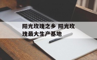 阳光玫瑰之乡 阳光玫瑰最大生产基地
