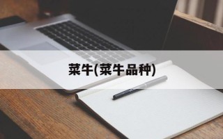 菜牛(菜牛品种)