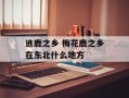 逃鹿之乡 梅花鹿之乡在东北什么地方