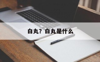 白丸？白丸是什么