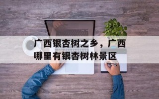 广西银杏树之乡，广西哪里有银杏树林景区