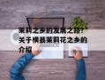 茉莉之乡的发展之路？关于横县茉莉花之乡的介绍