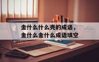 金什么什么壳的成语，金什么金什么成语填空