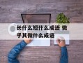 长什么短什么成语 微乎其微什么成语