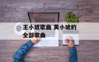 王小琥歌曲 黄小琥的全部歌曲