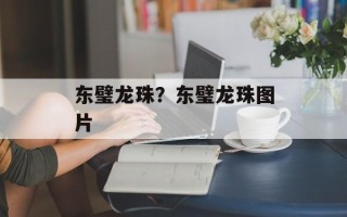 东璧龙珠？东璧龙珠图片
