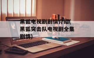 黑狐电视剧剧情介绍(黑狐突击队电视剧全集剧情)