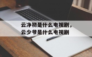 云净初是什么电视剧，云少爷是什么电视剧