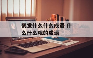 鹤发什么什么成语 什么什么观的成语