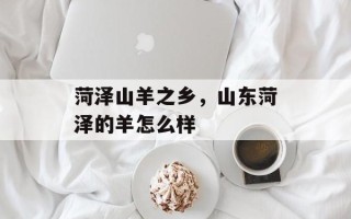 菏泽山羊之乡，山东菏泽的羊怎么样