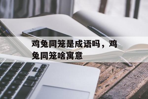 鸡兔同笼是成语吗，鸡兔同笼啥寓意-第1张图片-