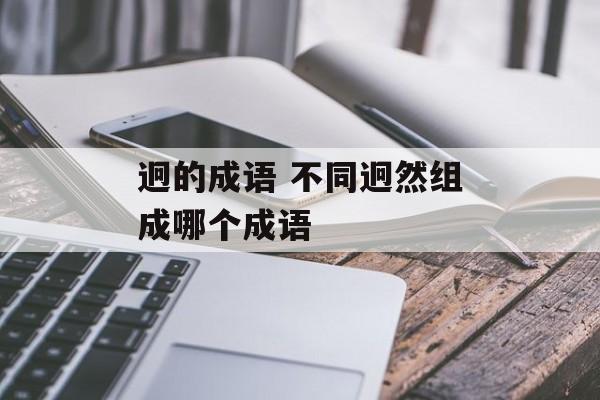 迥的成语 不同迥然组成哪个成语-第1张图片-