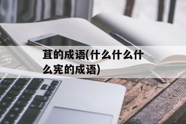 苴的成语(什么什么什么宪的成语)-第1张图片-