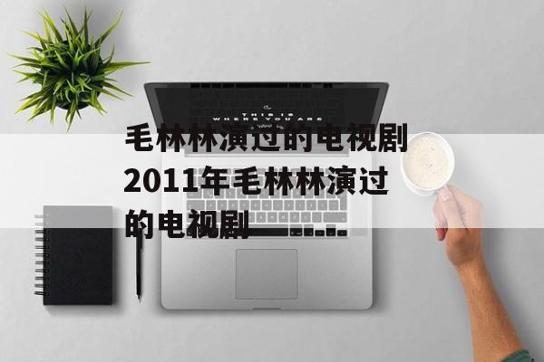 毛林林演过的电视剧 2011年毛林林演过的电视剧-第1张图片-