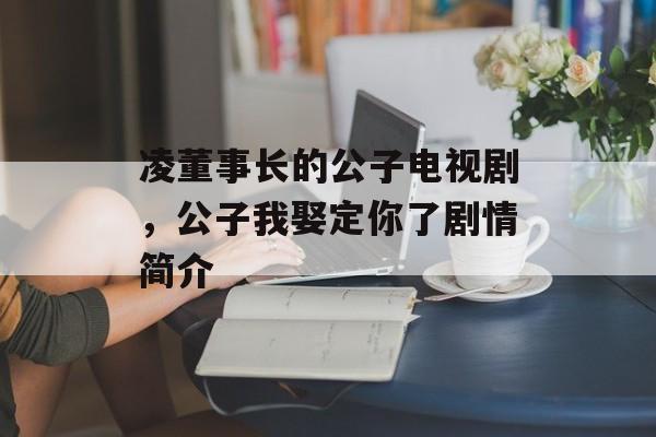 凌董事长的公子电视剧，公子我娶定你了剧情简介-第1张图片-