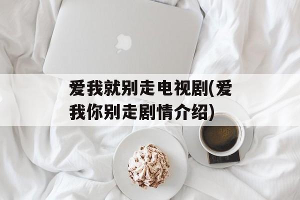 爱我就别走电视剧(爱我你别走剧情介绍)-第1张图片-