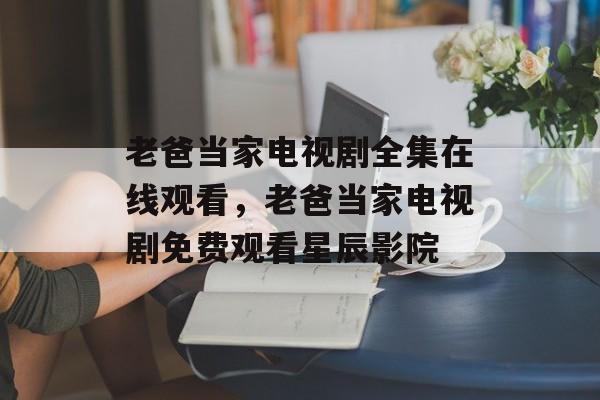 老爸当家电视剧全集在线观看，老爸当家电视剧免费观看星辰影院-第1张图片-