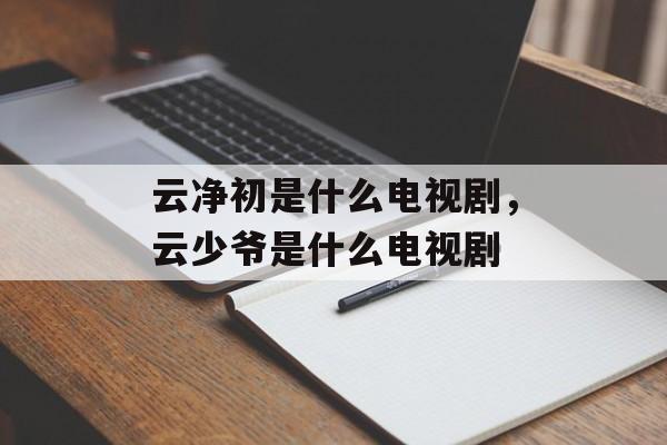 云净初是什么电视剧，云少爷是什么电视剧-第1张图片-