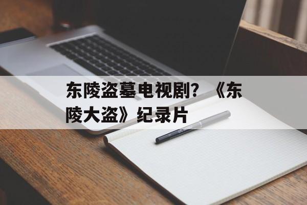 东陵盗墓电视剧？《东陵大盗》纪录片-第1张图片-