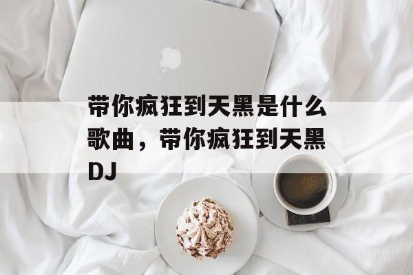 带你疯狂到天黑是什么歌曲，带你疯狂到天黑DJ-第1张图片-