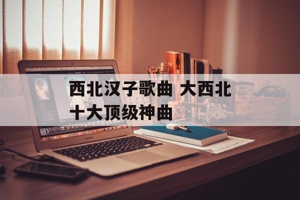 西北汉子歌曲 大西北十大顶级神曲-第1张图片-