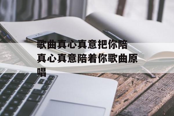 歌曲真心真意把你陪 真心真意陪着你歌曲原唱-第1张图片-