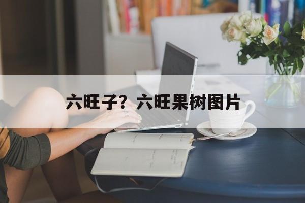 六旺子？六旺果树图片-第1张图片-
