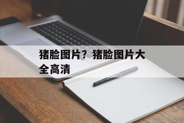 猪脸图片？猪脸图片大全高清-第1张图片-