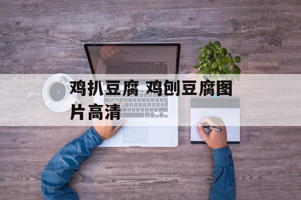 鸡扒豆腐 鸡刨豆腐图片高清-第1张图片-