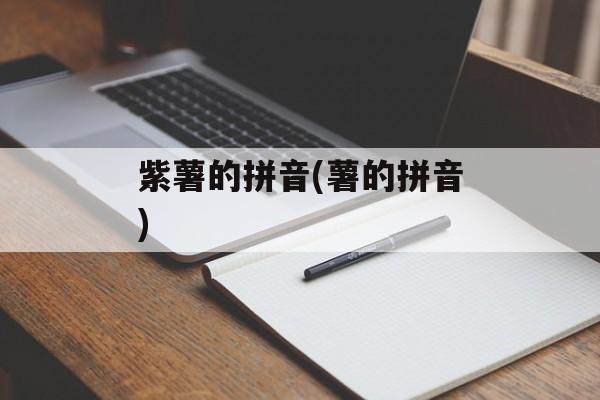 紫薯的拼音(薯的拼音)-第1张图片-