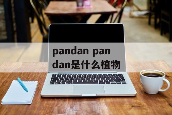 pandan pandan是什么植物-第1张图片-
