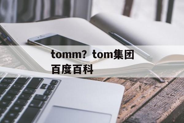tomm？tom集团百度百科-第1张图片-