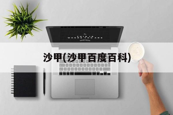 沙甲(沙甲百度百科)-第1张图片-